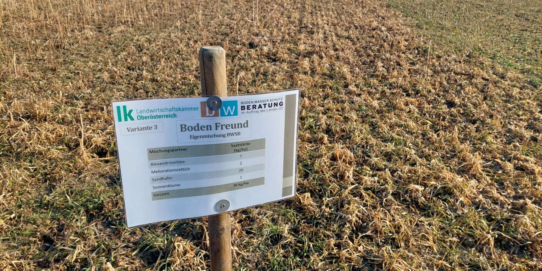 Variante Boden Freund .jpg © BWSB/Wallner