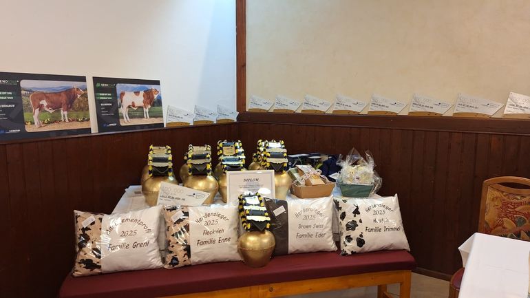 RZV Mank (1).jpg © BBK Melk