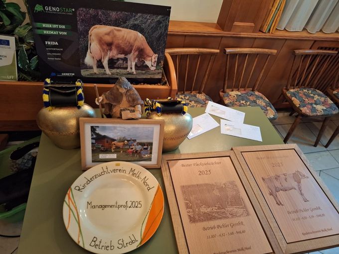 RZV Melk-Nord (6).jpg © BBK Melk