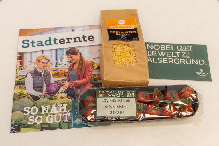 Maria Lichmess Empfang 2026 .jpg © LK Wien_ Harald Klemm