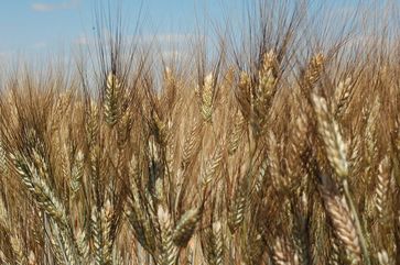 [1770716487806268.jpg]