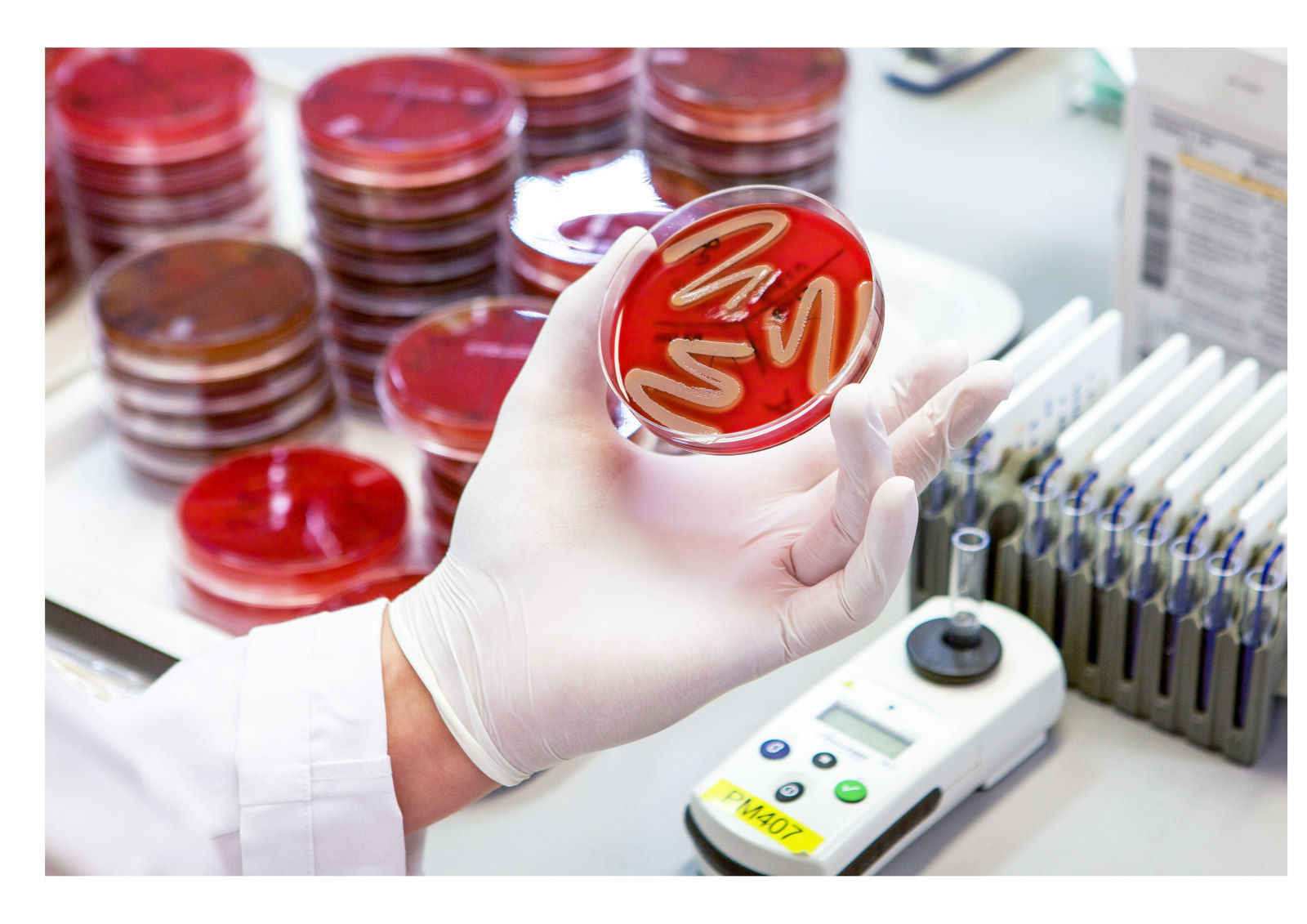 th_TGD_Teilnehmergebühren_230531LaborRied014 b.jpg © TGD