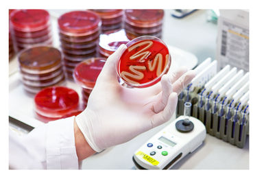 th_TGD_Teilnehmergebühren_230531LaborRied014 b.jpg © TGD