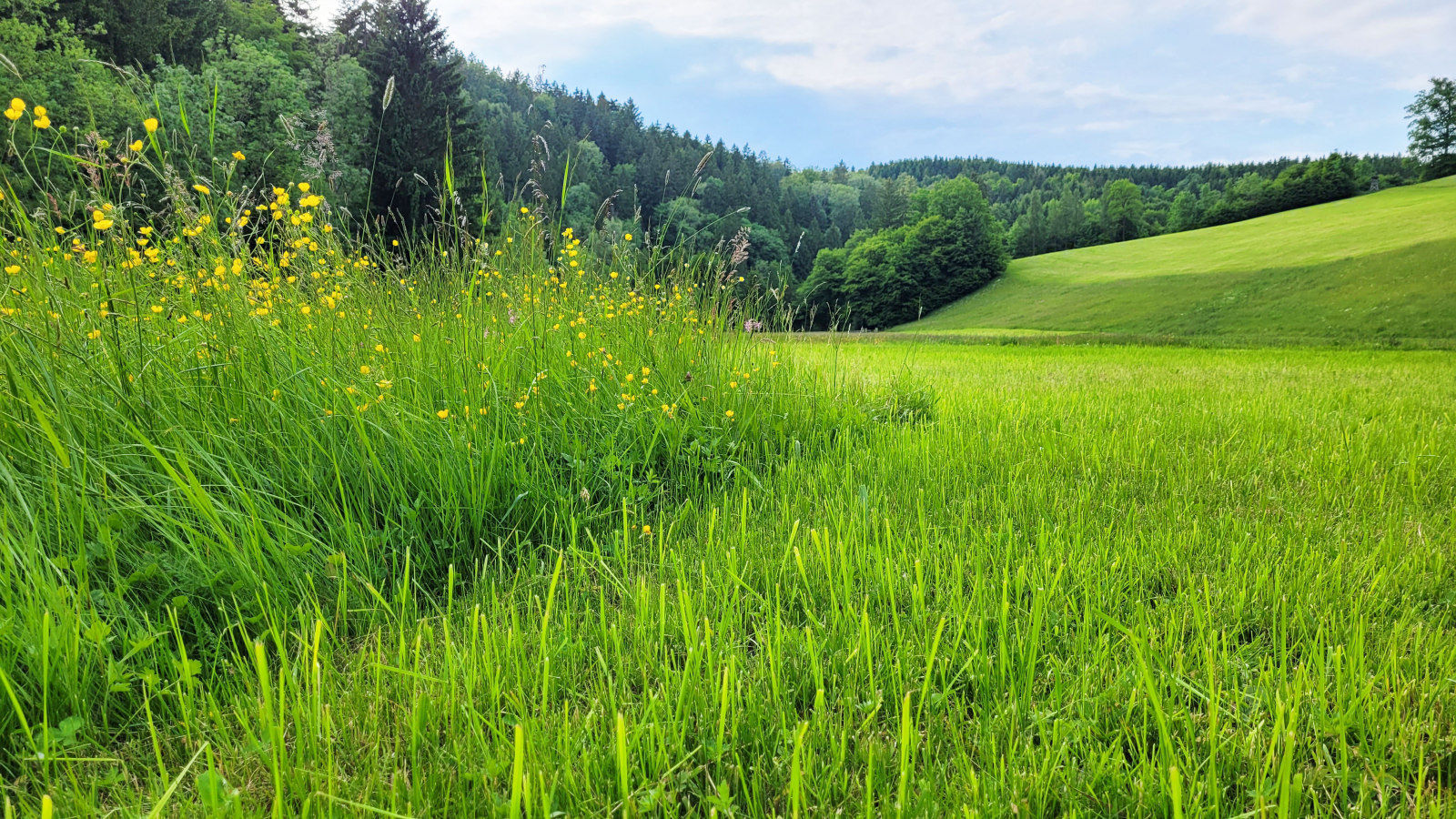 20250521_182516_Horner (1) b.jpg © LK OÖ/Horner