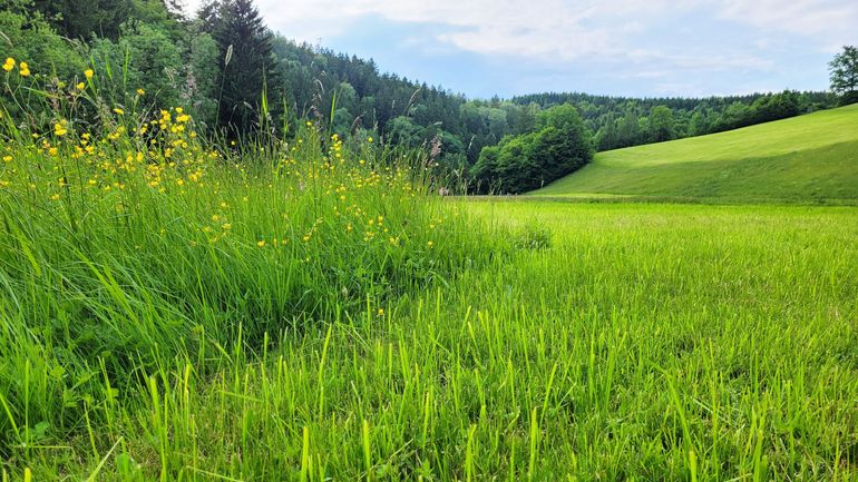 20250521_182516_Horner (1) b.jpg © LK OÖ/Horner