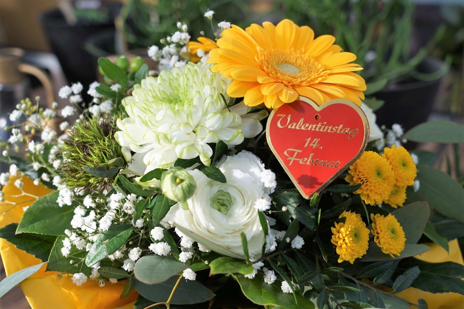 Gartentipp Valentinstag.jpg © Harald Rammel