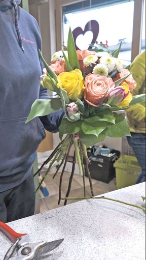 Pflanzen bedeuten emotionale Werte.jpg © Hatheier