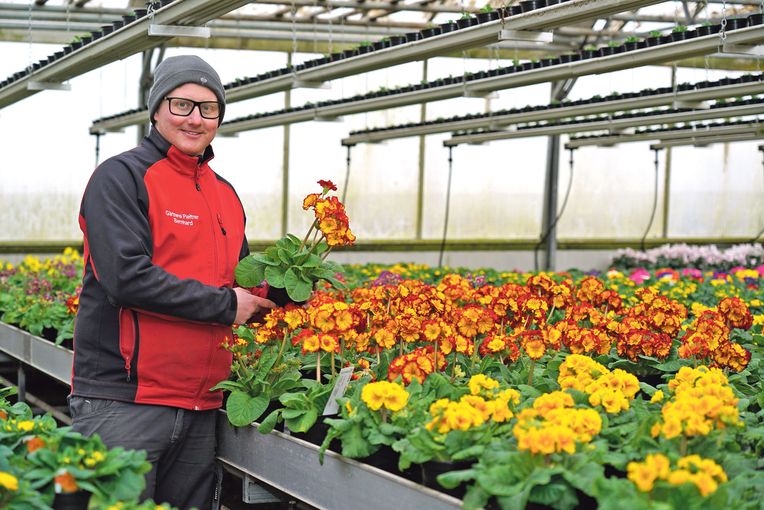 Pflanzen bedeuten emotionale Werte.jpg © Hatheier