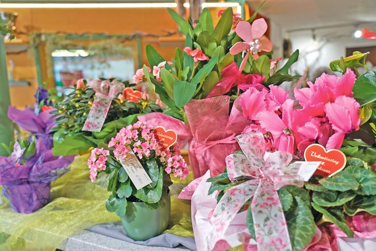 Pflanzen bedeuten emotionale Werte.jpg © Hatheier