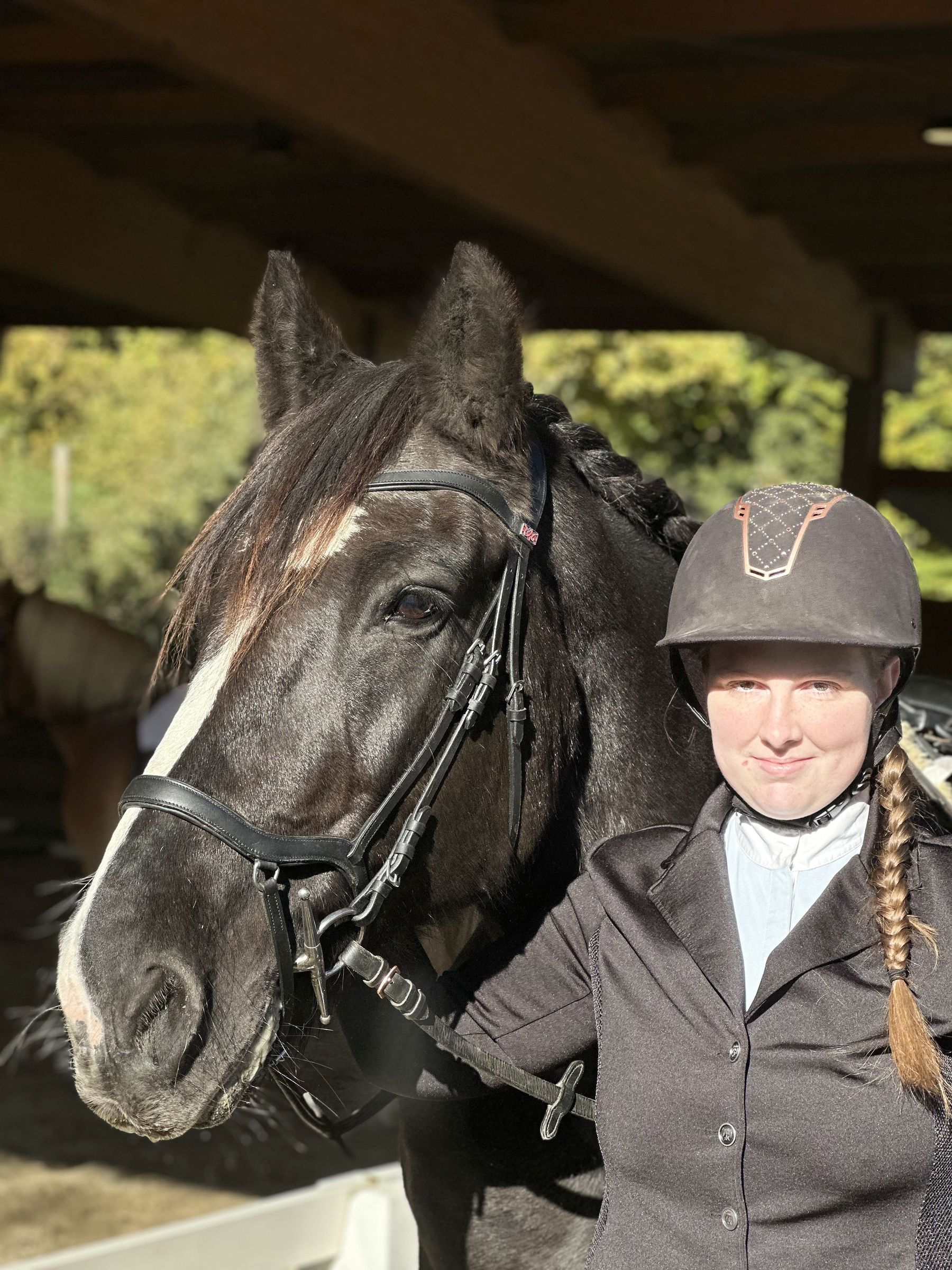 IMG_7824.jpg © horsense