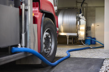 LKOÖ Rinder-0414(AdobeRGB.jpg © LK OÖ