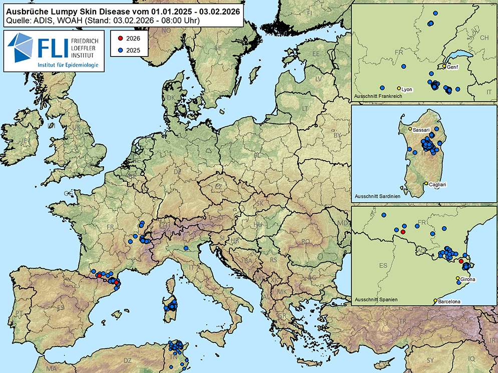 Verbreitung Lumpy Skin Disease (Stand 3.2.2026) © Friedrich Loeffler Institut