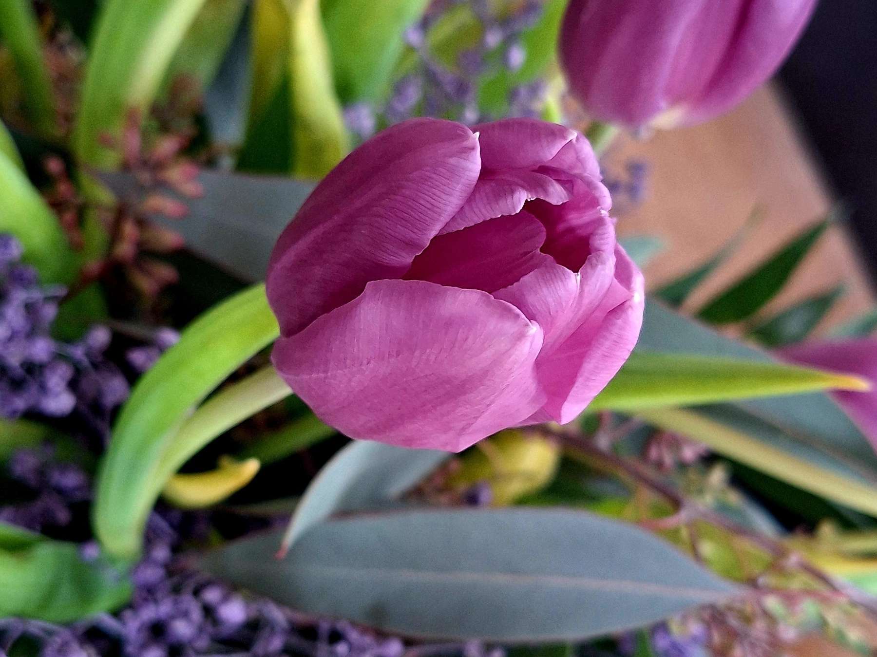 20260123_131723.jpg © Eva Lechner/LK Niederösterreich