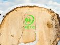 Baumstamm mit PEFC Logo © Georg Pomaßl/LK Niederösterreich