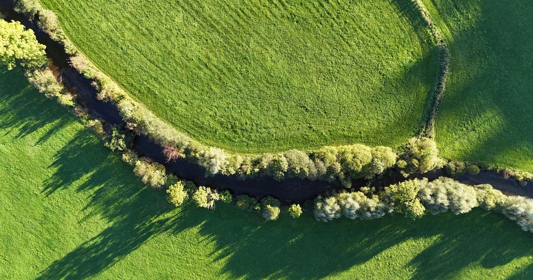 Uferrandstreifen.jpg © LK OÖ/Mandl