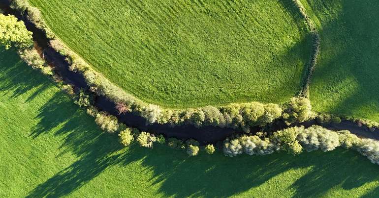 Uferrandstreifen.jpg © LK OÖ/Mandl