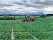 Pflanzenschutz1.jpg © LKÖ/Kastenhuber