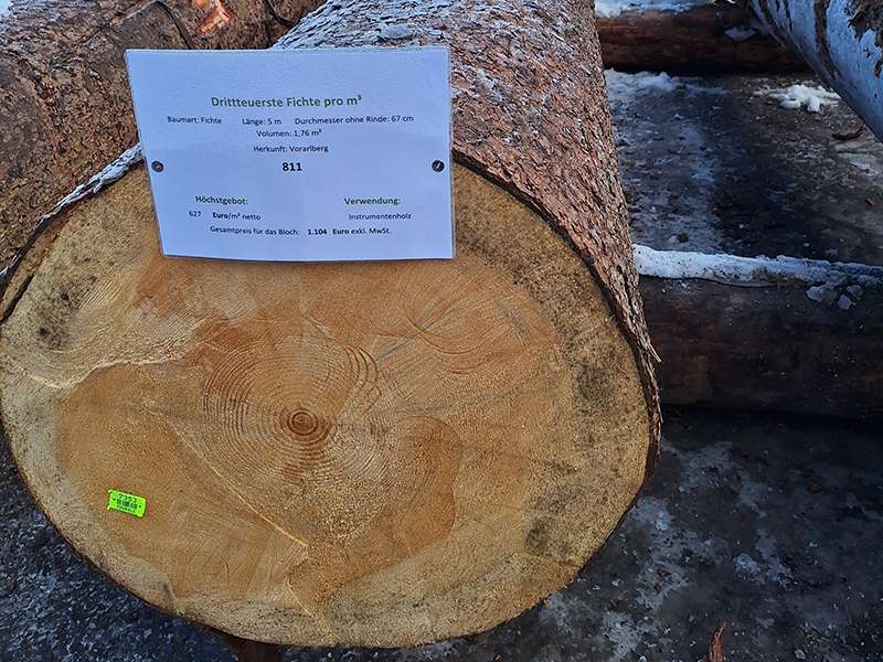 Wertholzsubmission.jpg © LK Vbg.