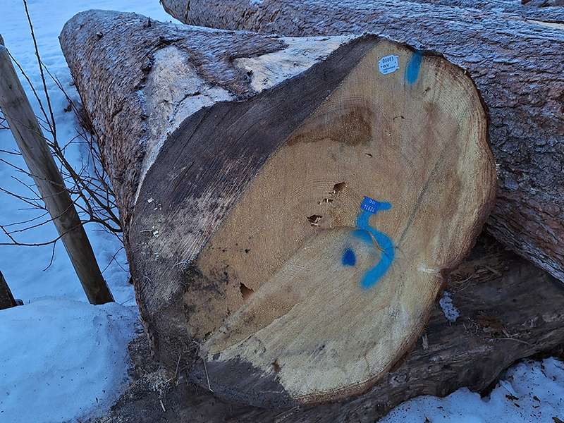 Wertholzsubmission.jpg © LK Vbg.