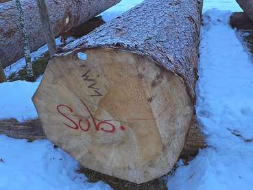 Wertholzsubmission.jpg © LK Vbg.