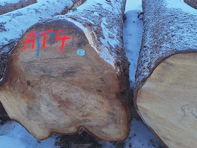 Wertholzsubmission.jpg © LK Vbg.