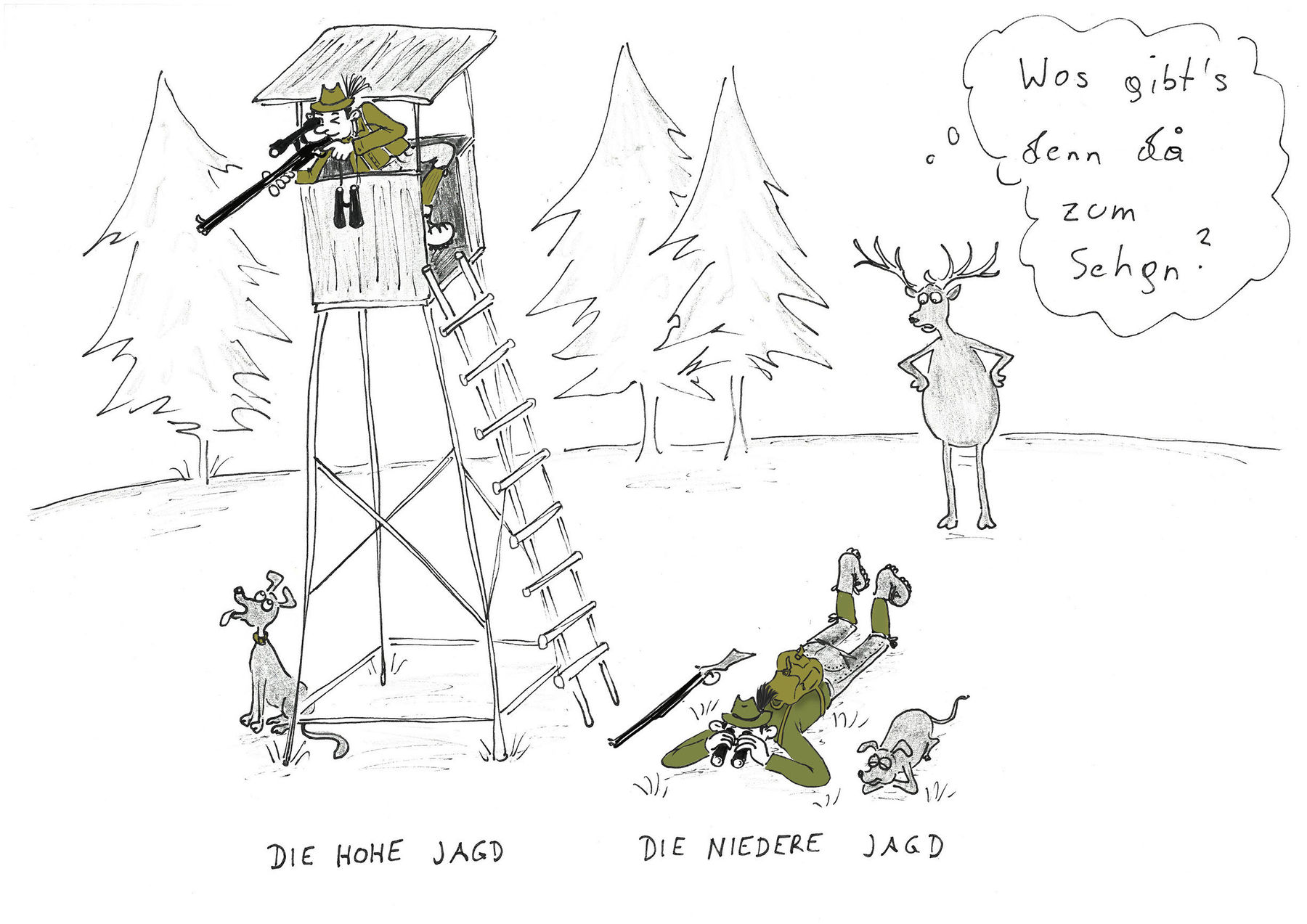 Hohe Jagd.jpg © Mitterwallner