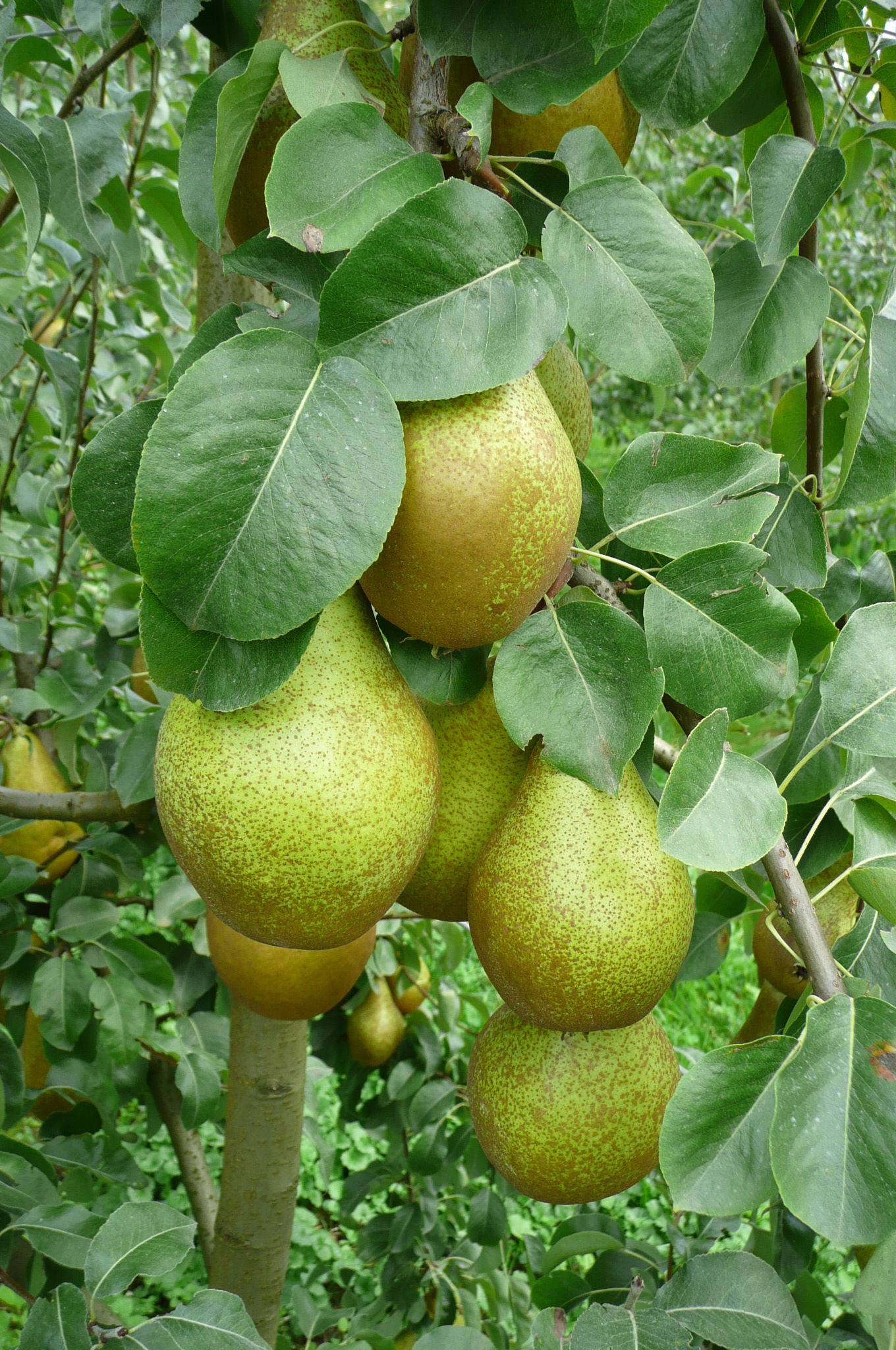 06_20260227_Freiding_25_09_2013_Novembra (3).jpg © LK Steiermark