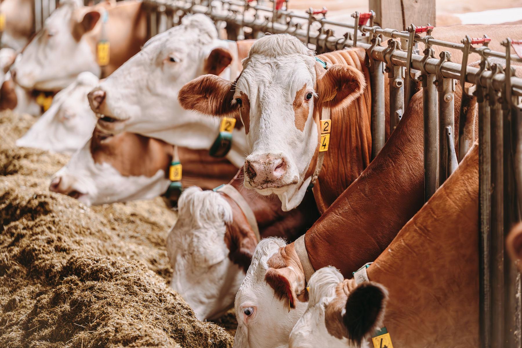 Bild 1.jpg © Jan Wagner/Adobe Stock