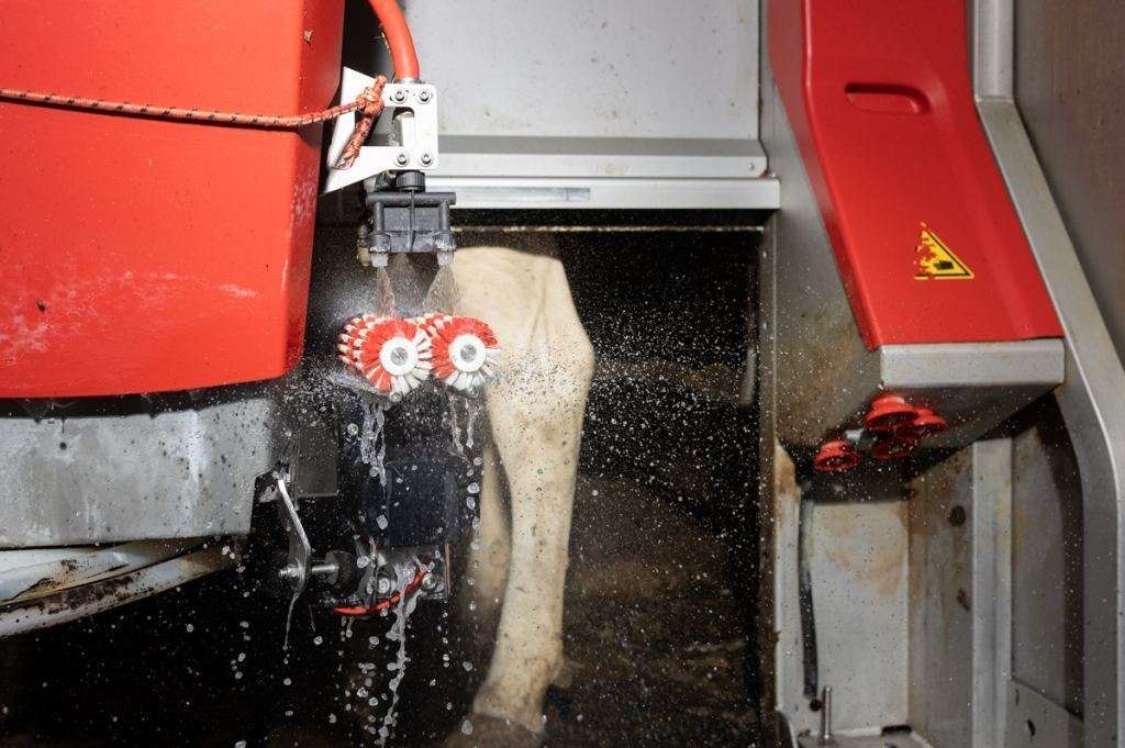 Melkroboter .jpg © RINDERZUCHT AUSTRIA/Daniela Köppl