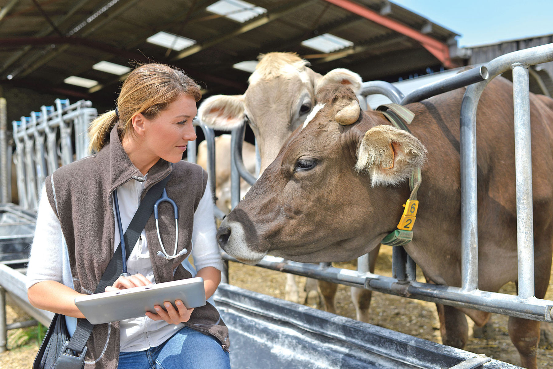 Tierärzte.jpg © AdobeStock