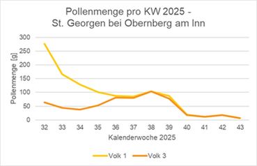 Abbildung 9_Entwicklung Pollenmenge St Georgen.jpg © Bienenzentrum OÖ