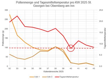 Abbildung 13_Pollenmenge und Tagesmitteltemperatur_St Georgen.jpg © Bienenzentrum OÖ
