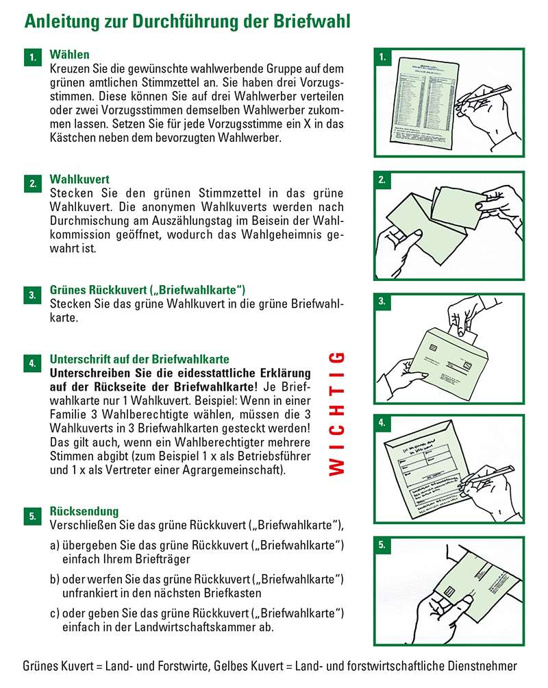 Anleitung zur Durchfuerung der Briefwahl.jpg © Archiv