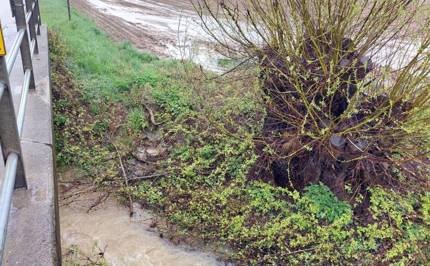 Vom Acker in den Bach.jpg © BWSB/Wallner