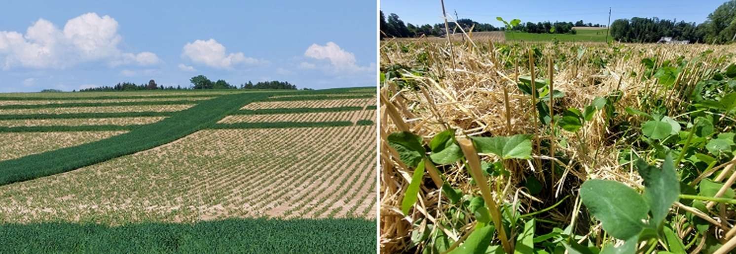 Maßnahmen zum Erosionsschutz.jpg © BWSB/Wallner