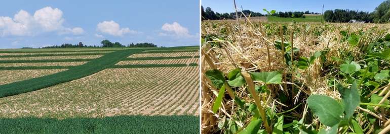 Maßnahmen zum Erosionsschutz.jpg © BWSB/Wallner