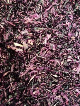 [1771784667707630.jpg]