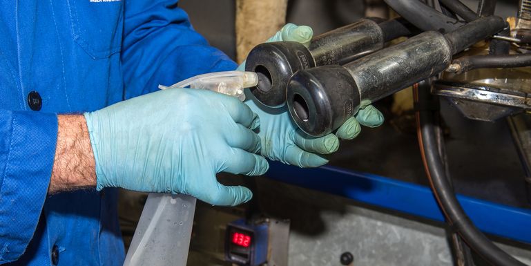 RE_Arbeitskraft fällt aus_LK OÖ © LK OÖ