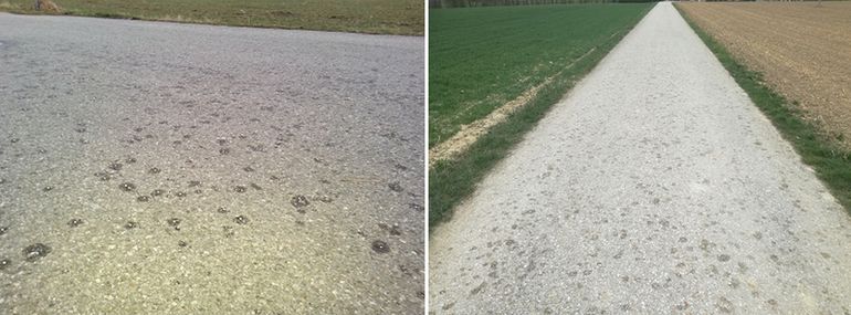 gedüngte Straße.jpg © BWSB/Wallner