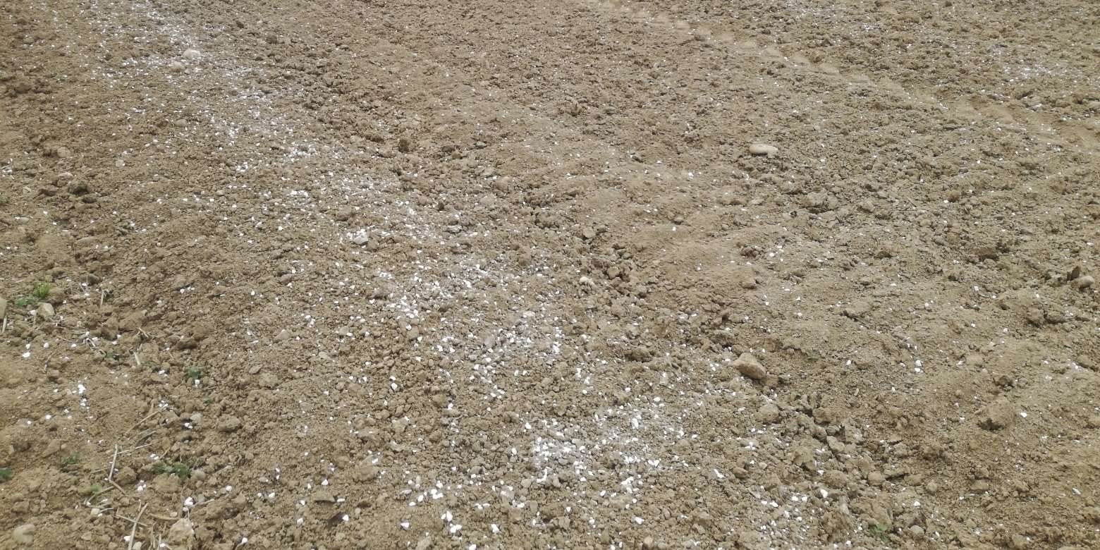 Andüngung_Mais_Streuverteilung.jpg © BWSB/Wallner