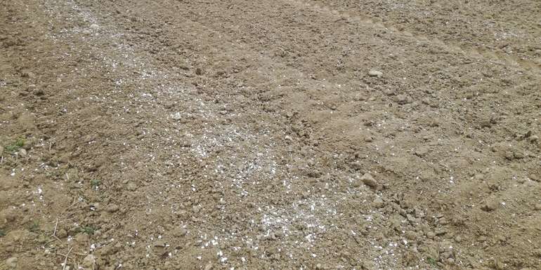 Andüngung_Mais_Streuverteilung.jpg © BWSB/Wallner