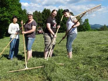 Rechen.jpg © Mairböck