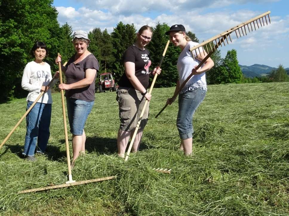 Rechen.jpg © Mairböck