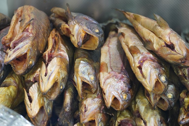 sb09_mt_forellen.jpg © Dürnberger