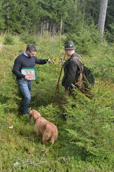 Jäger und Berater im Wald.jpg © LK Niederösterreich