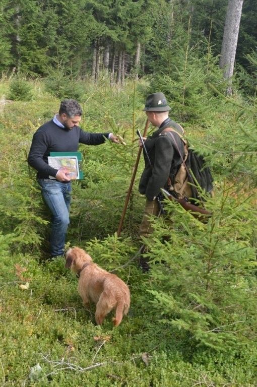 Jäger und Berater im Wald.jpg © LK Niederösterreich