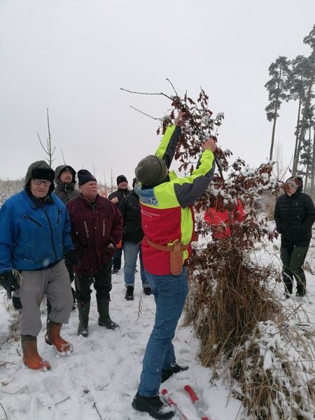 Wertastungskurs © Die Bäuerinnen im Gebie Raabs/Thaya Wertastungskurs © Die Bäuerinnen im Gebie Raabs/Thaya