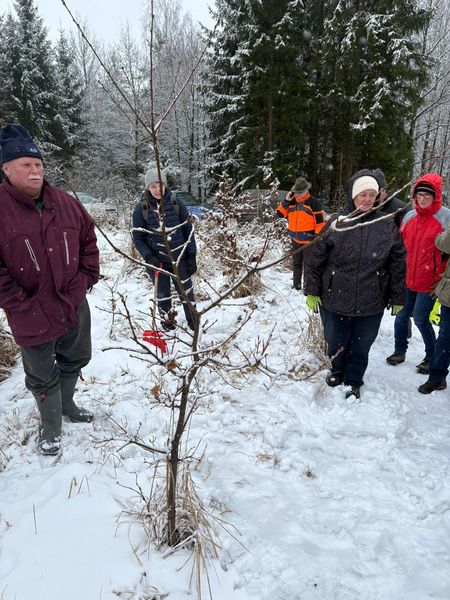 Wertastungskurs © Die Bäuerinnen im Gebie Raabs/Thaya Wertastungskurs © Die Bäuerinnen im Gebie Raabs/Thaya
