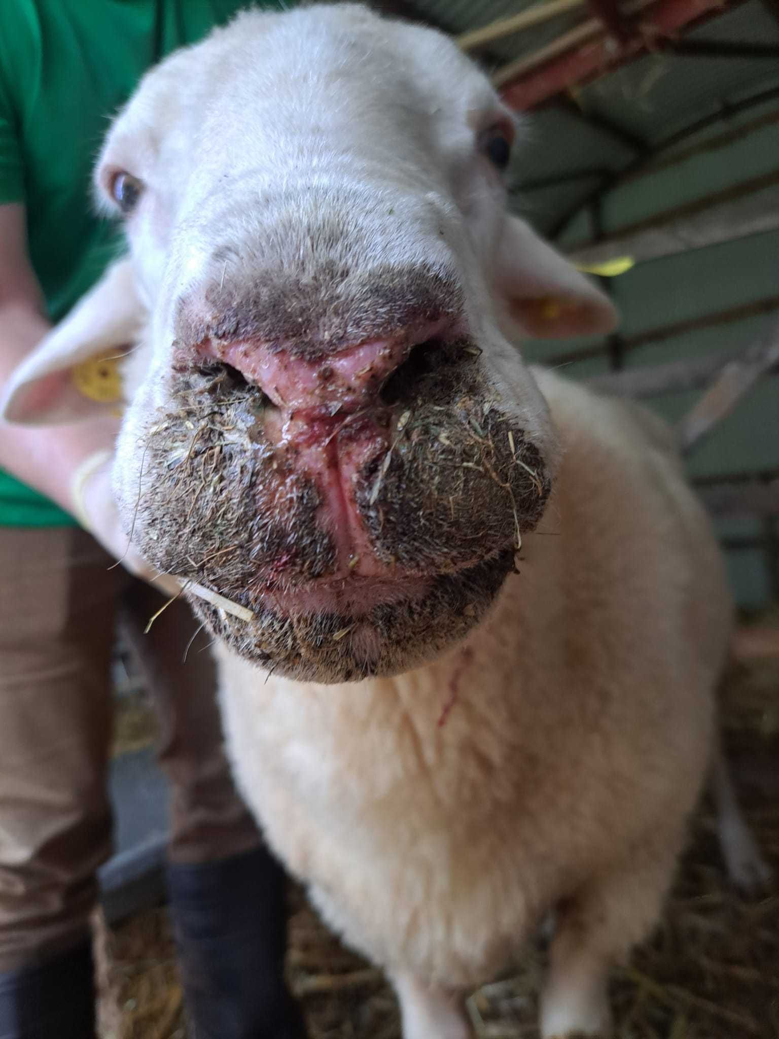 GJIV4006 copyright Anna Weber.jpg © Anna Weber