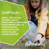 Posting Plogging2.jpg © LK Niederösterreich